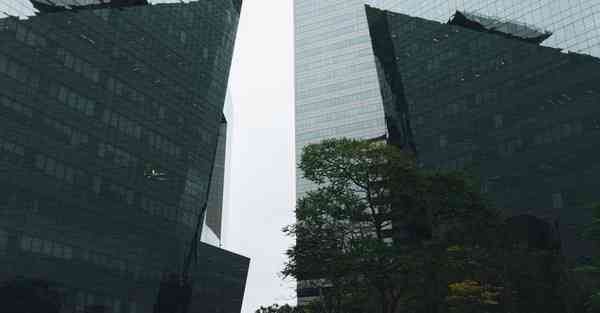 黑洞加速器节点